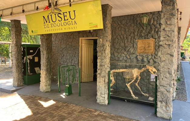 Zoológico de Goiânia reabre museu de animais empalhados