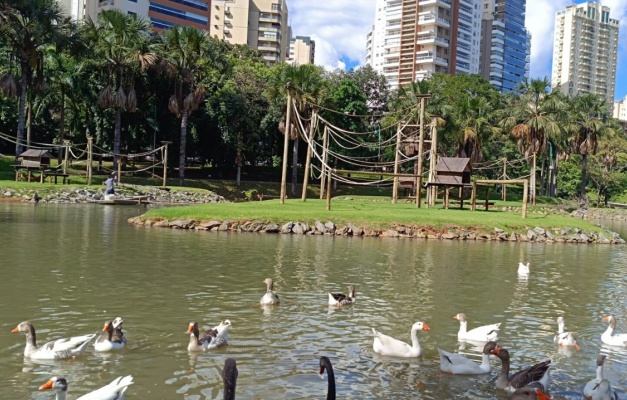 Zoológico de Goiânia reforça prevenção contra gripe aviária