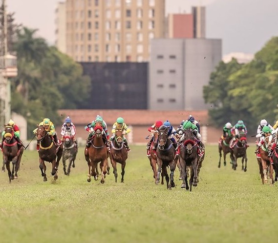 A Redação - Notícias de Goiás e Goiânia