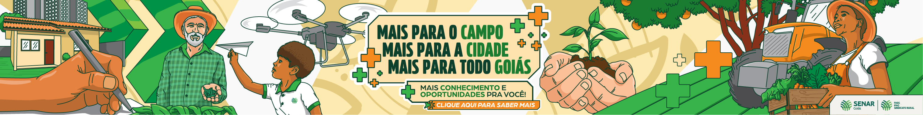 PI 735 SENAR AGOSTO FULL