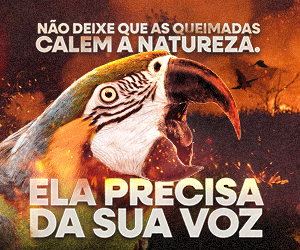 PI 021882 PI 021884 PREVENÇÃO QUEIMADAS 2025 - ETAPA 2