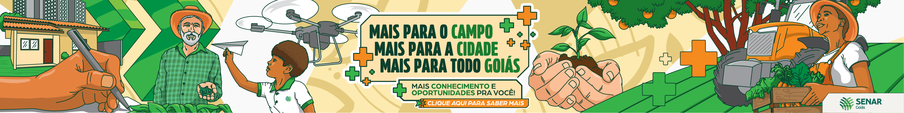 PI 735 SENAR AGOSTO FULL